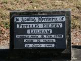 image of grave number 784262